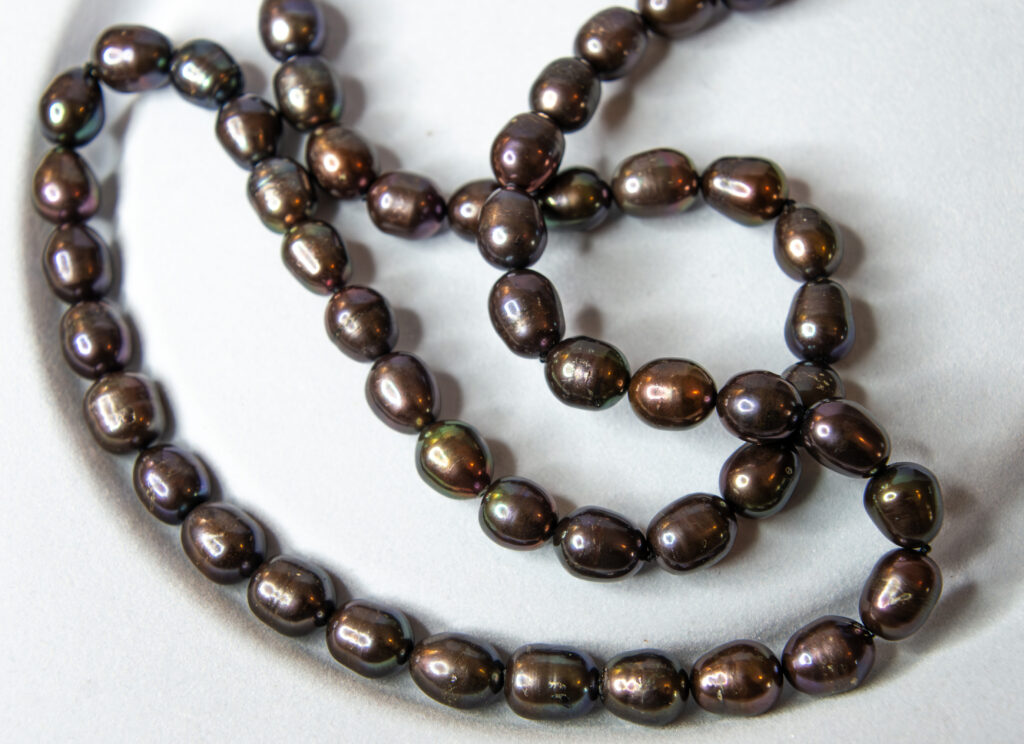 Aubergine Opera Necklace